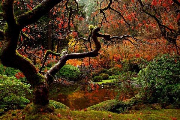 Japanischer Garten mit Menschen im Herbst