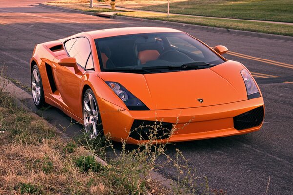 Orange lamborghini along the road front view