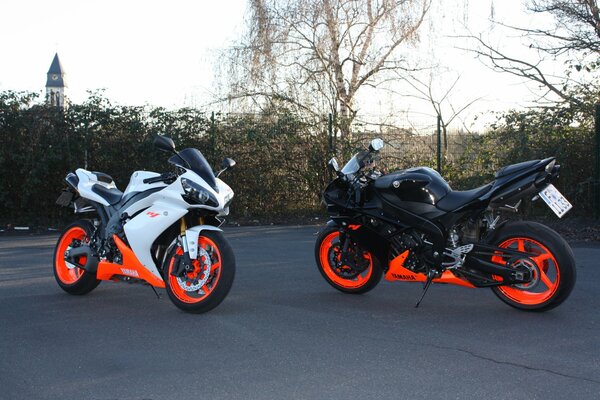 Black and white Yamaha motorcycles with birches