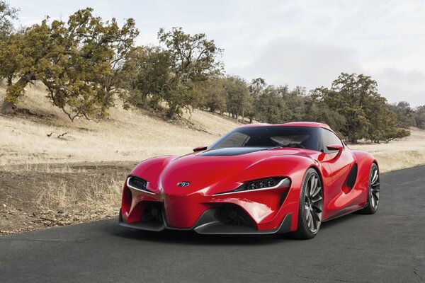 Red sports car in the steppes