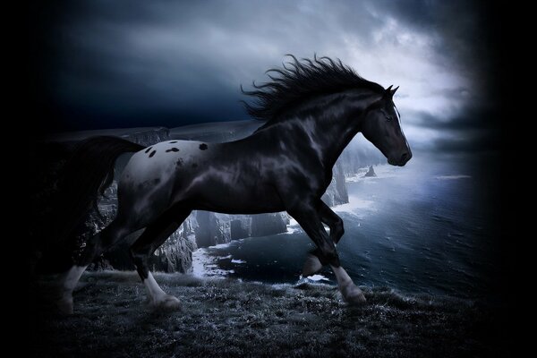 A black and white horse over a cliff