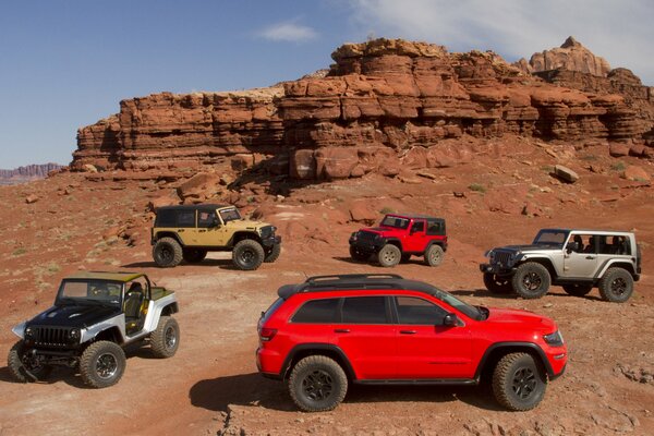 Collection of SUVs near the big mountains