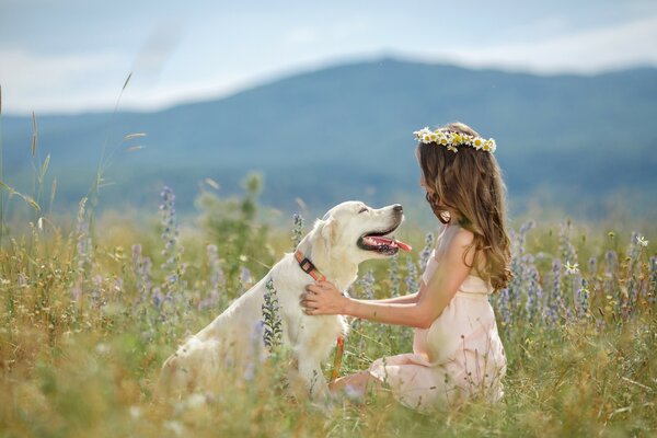 Fille dans le champ joue avec le chien