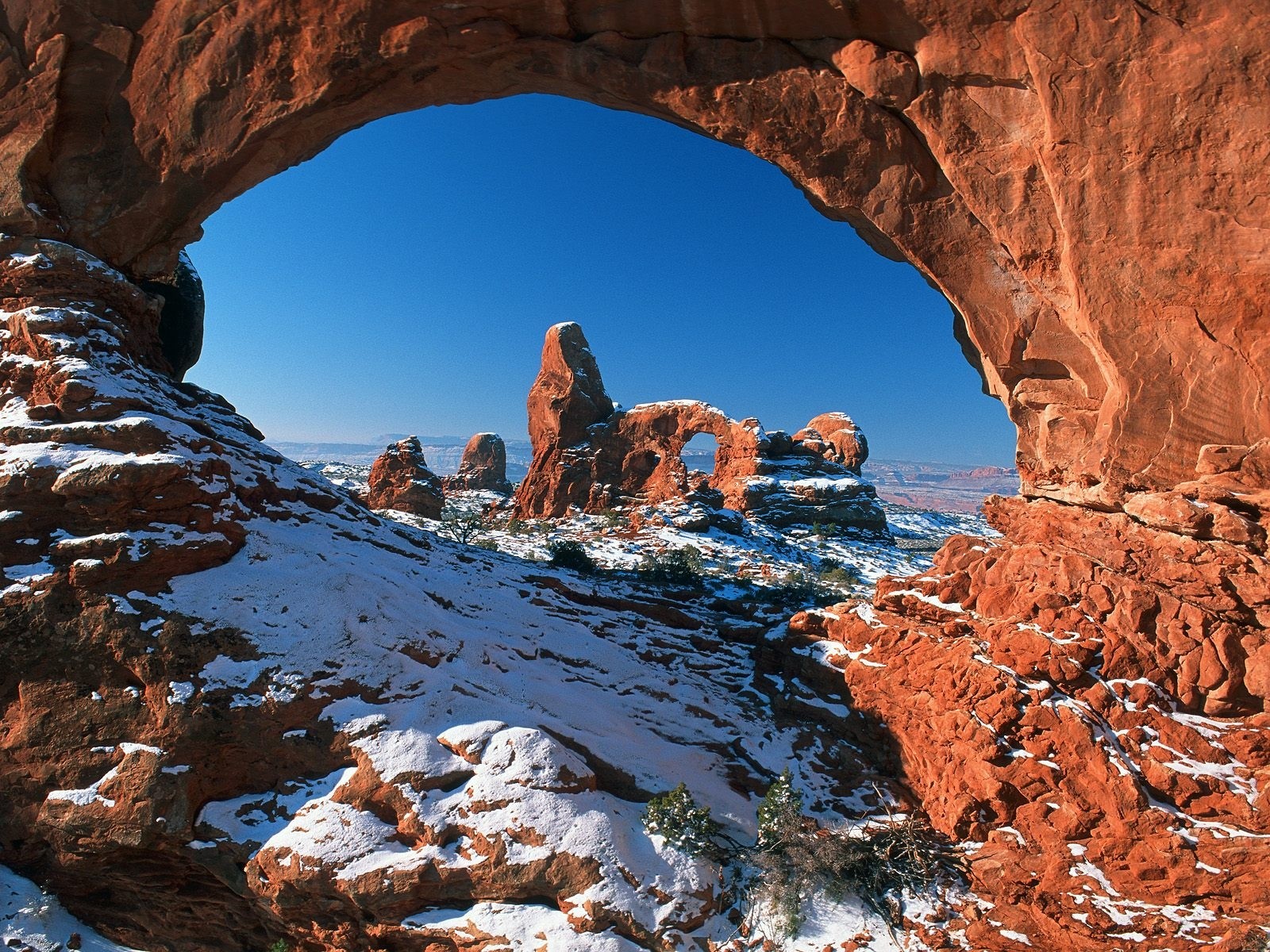 arco neve arizona