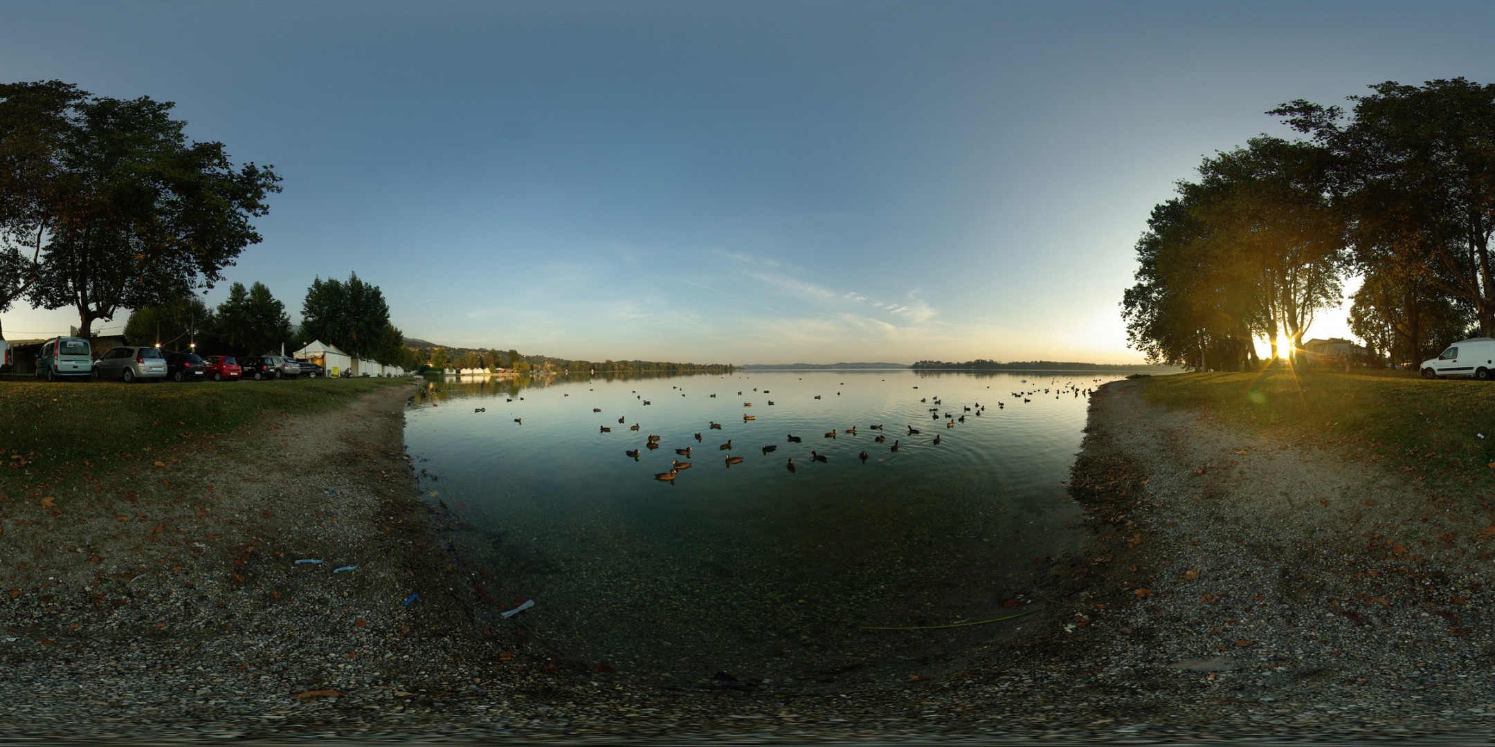 lac canards voitures arbres