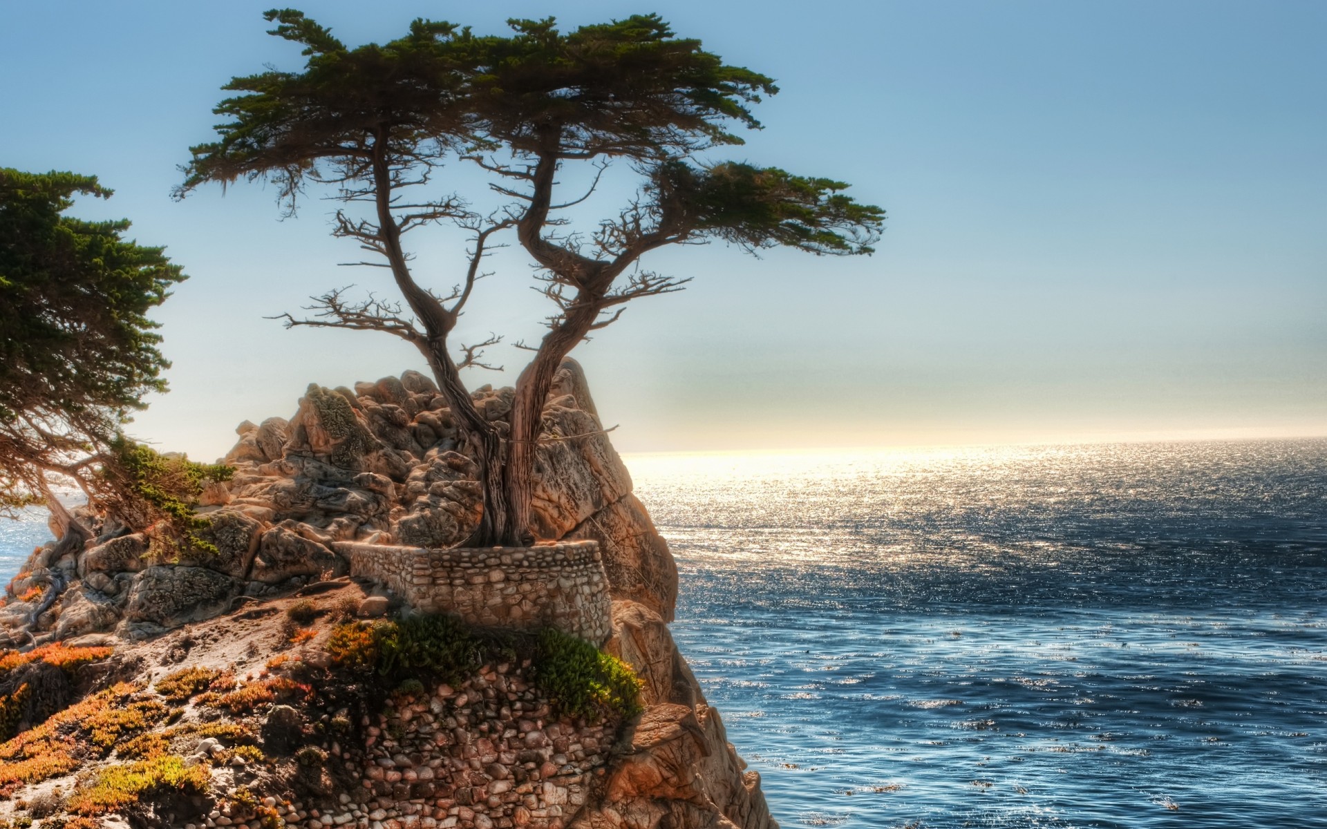 oceano albero rocce