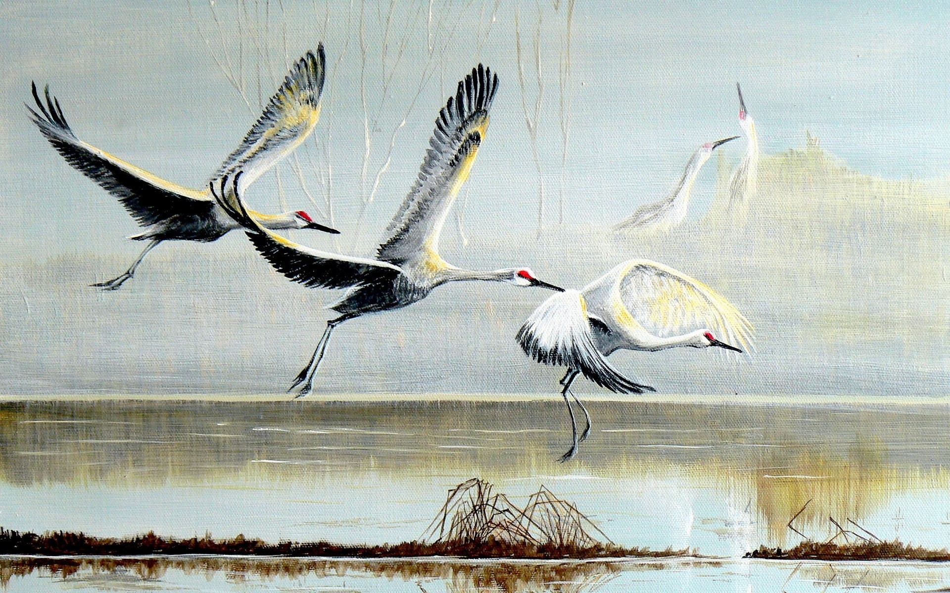 pattern storks bird