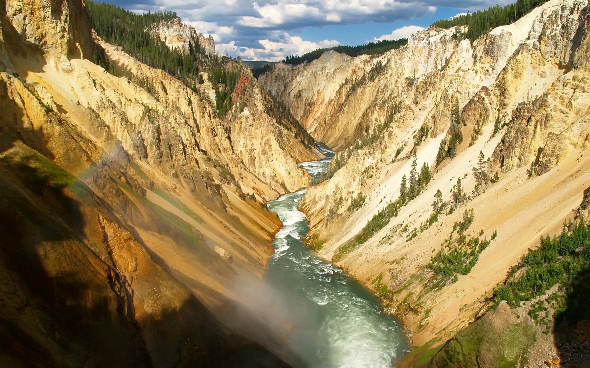 cañón río árboles