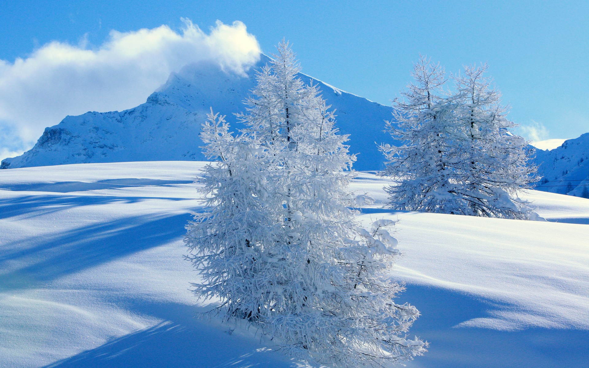 montagne abete rosso neve