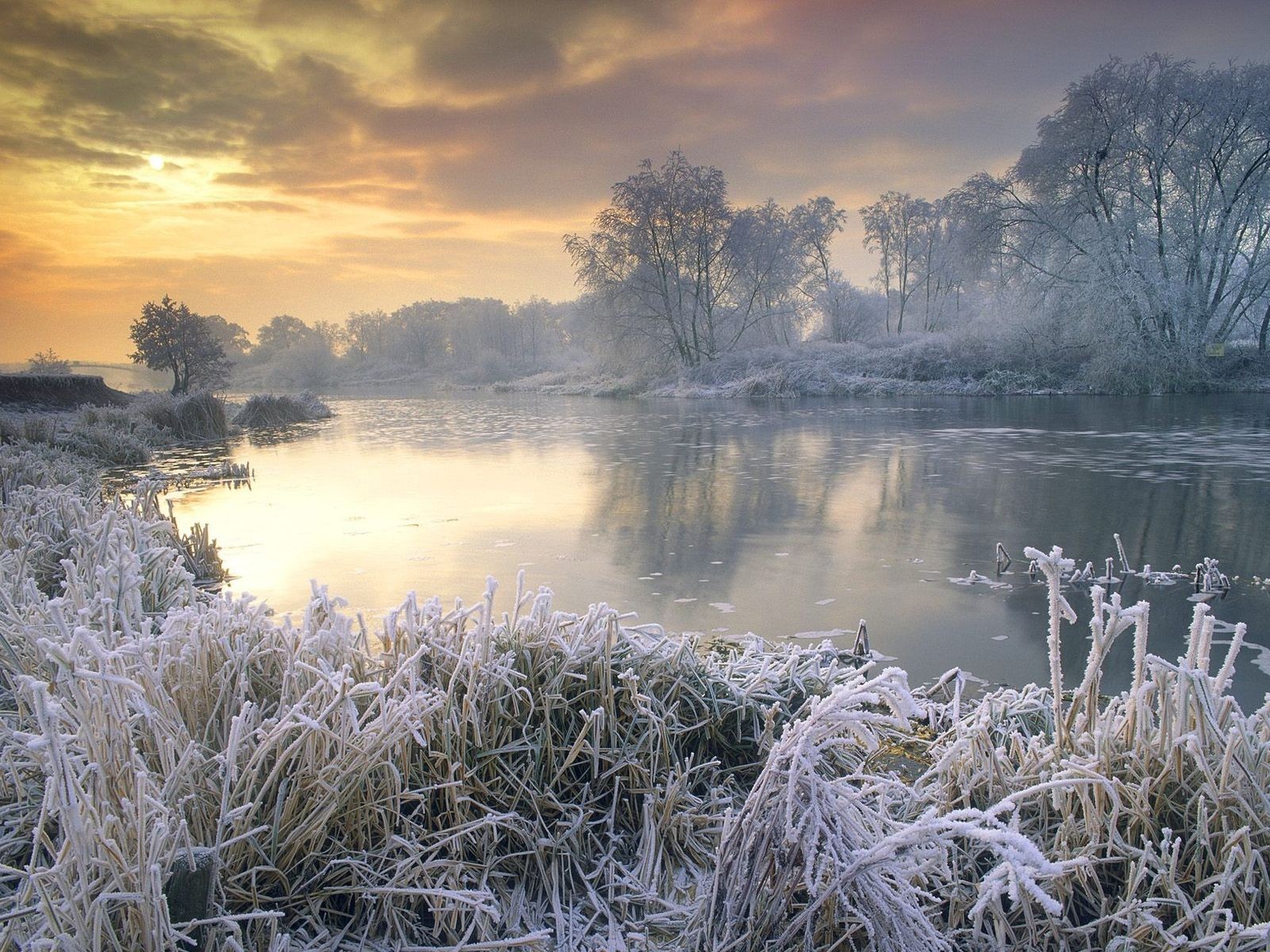 winter lake frost