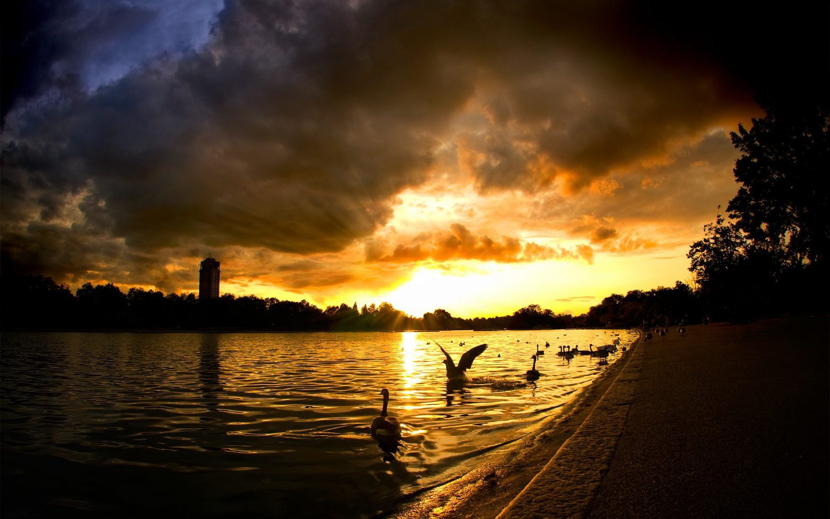 sol rayos agua casa cisnes