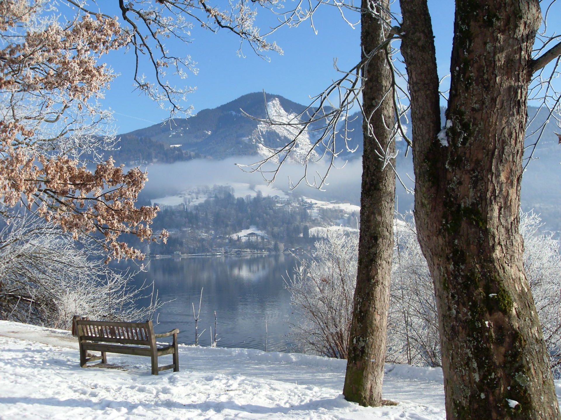 invierno río árboles banco