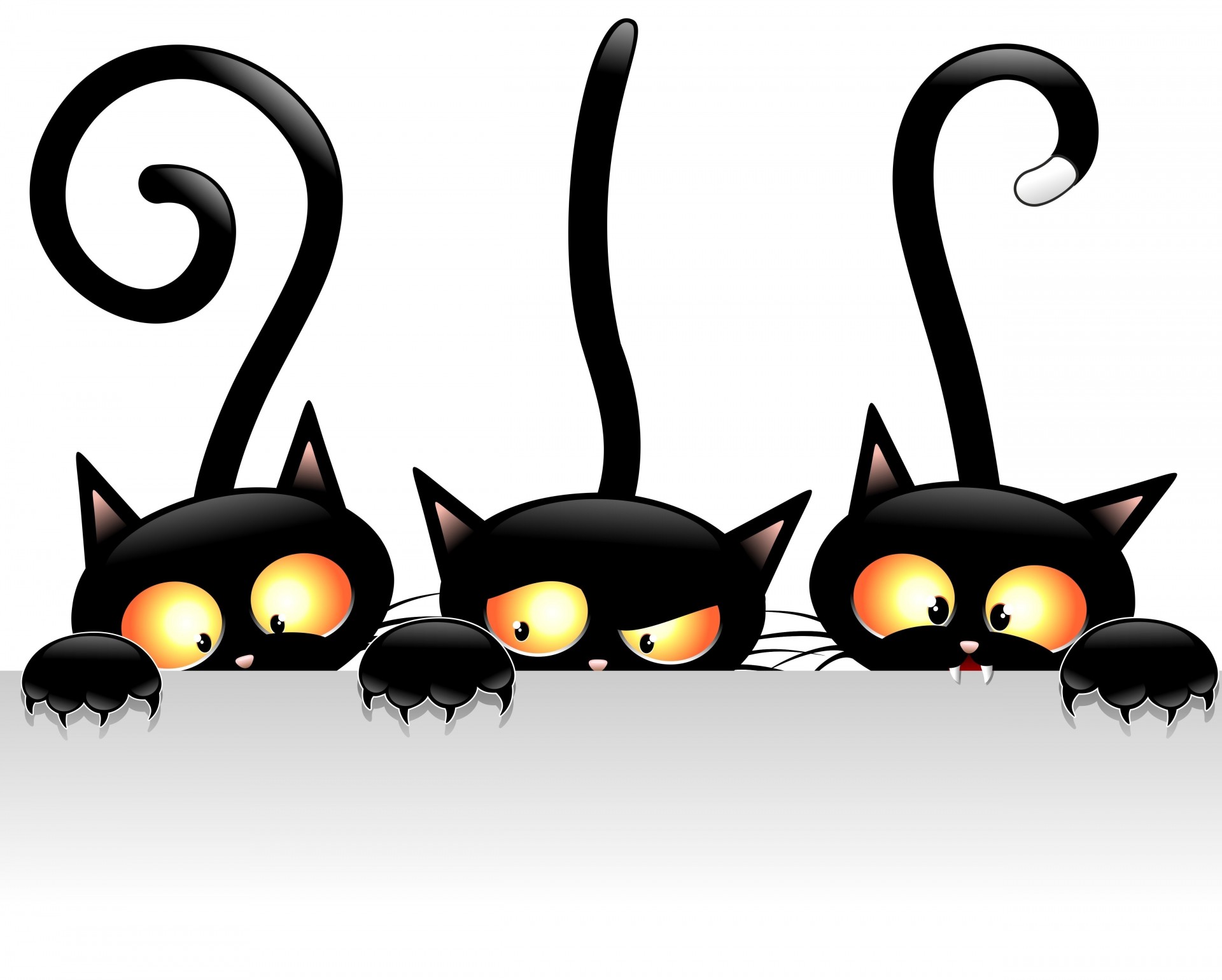 black cats views tails vector