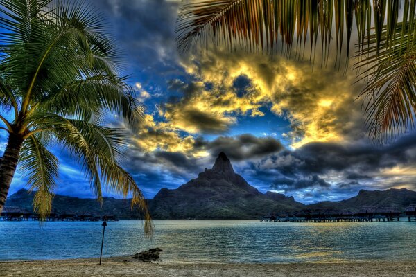 Relaxing by the sea in tropical nature