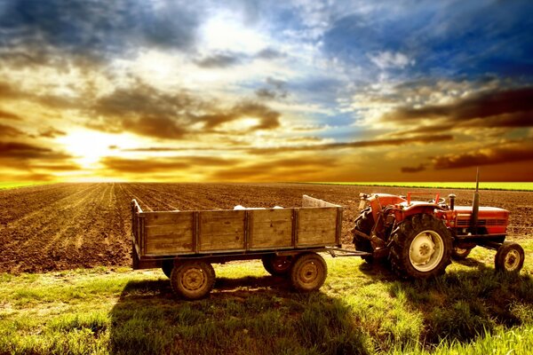 Tractor on the background of the evening field