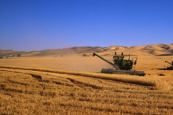 Kombain erntet die Ernte auf dem Feld