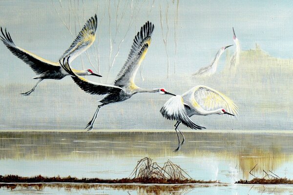 A picture of storks flying to the river