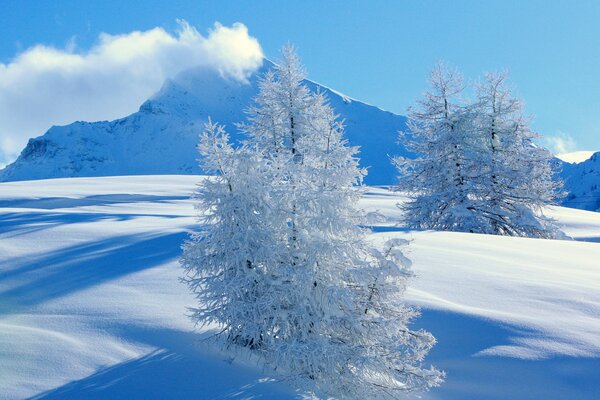 Paysage d hiver de montagnes enneigées