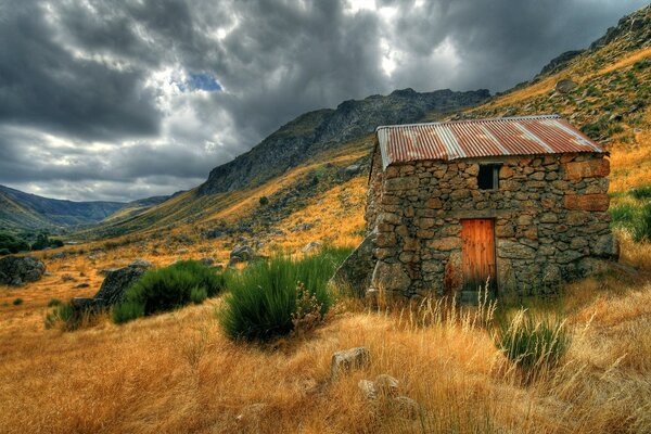 Detached house in the field