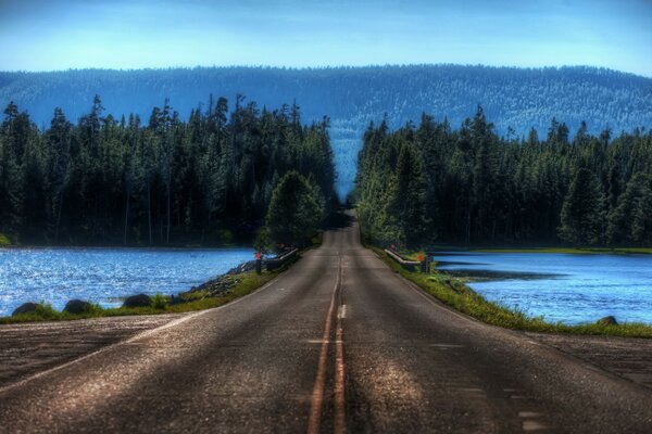 The road across the lake to the forest