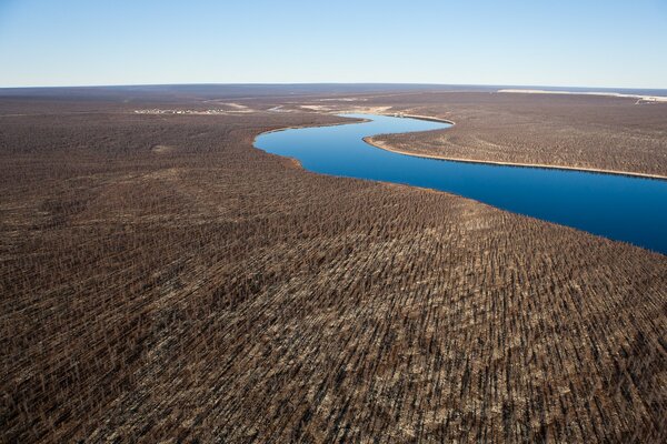 Río en el bosque desde lo alto