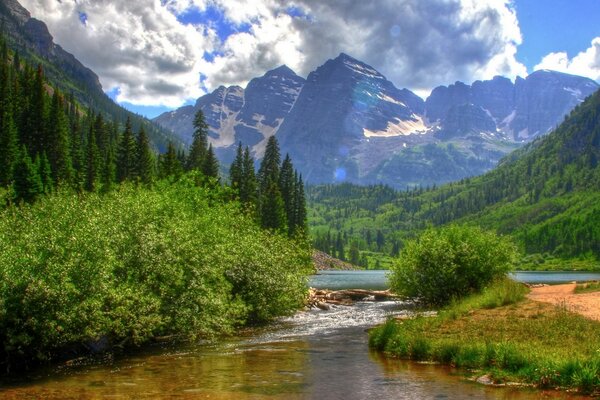 Paesaggio montano: fiume e foresta