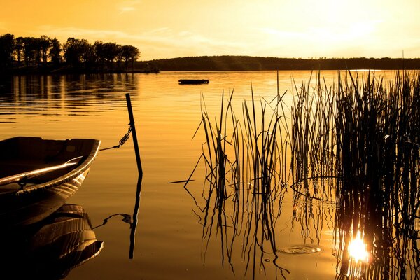 Boat in a calm lake at sunset