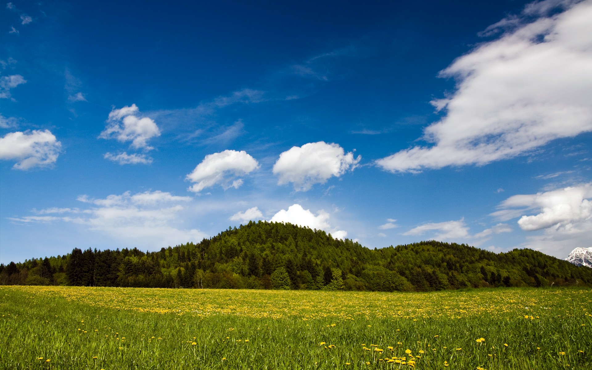 nature de printemps autriche carinthie autriche herbe vert paysage collines vert