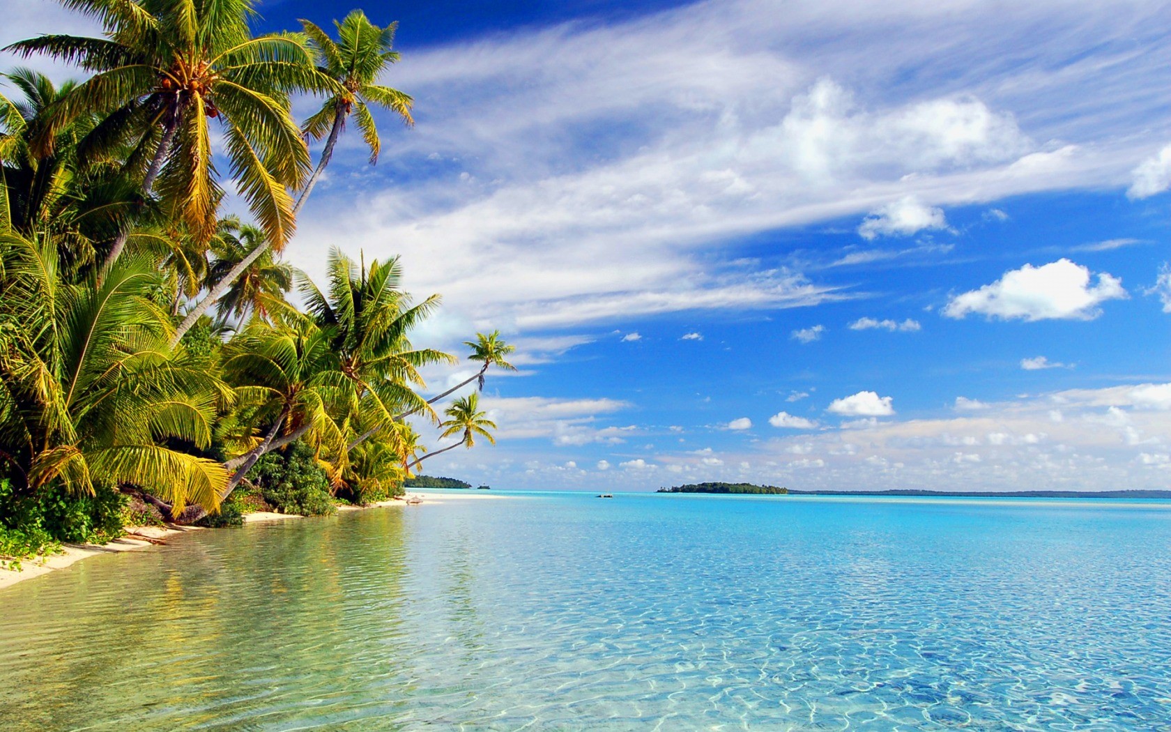 mer palmiers plage