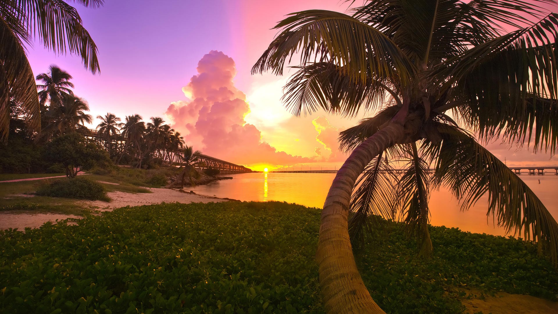 florida palma sunset