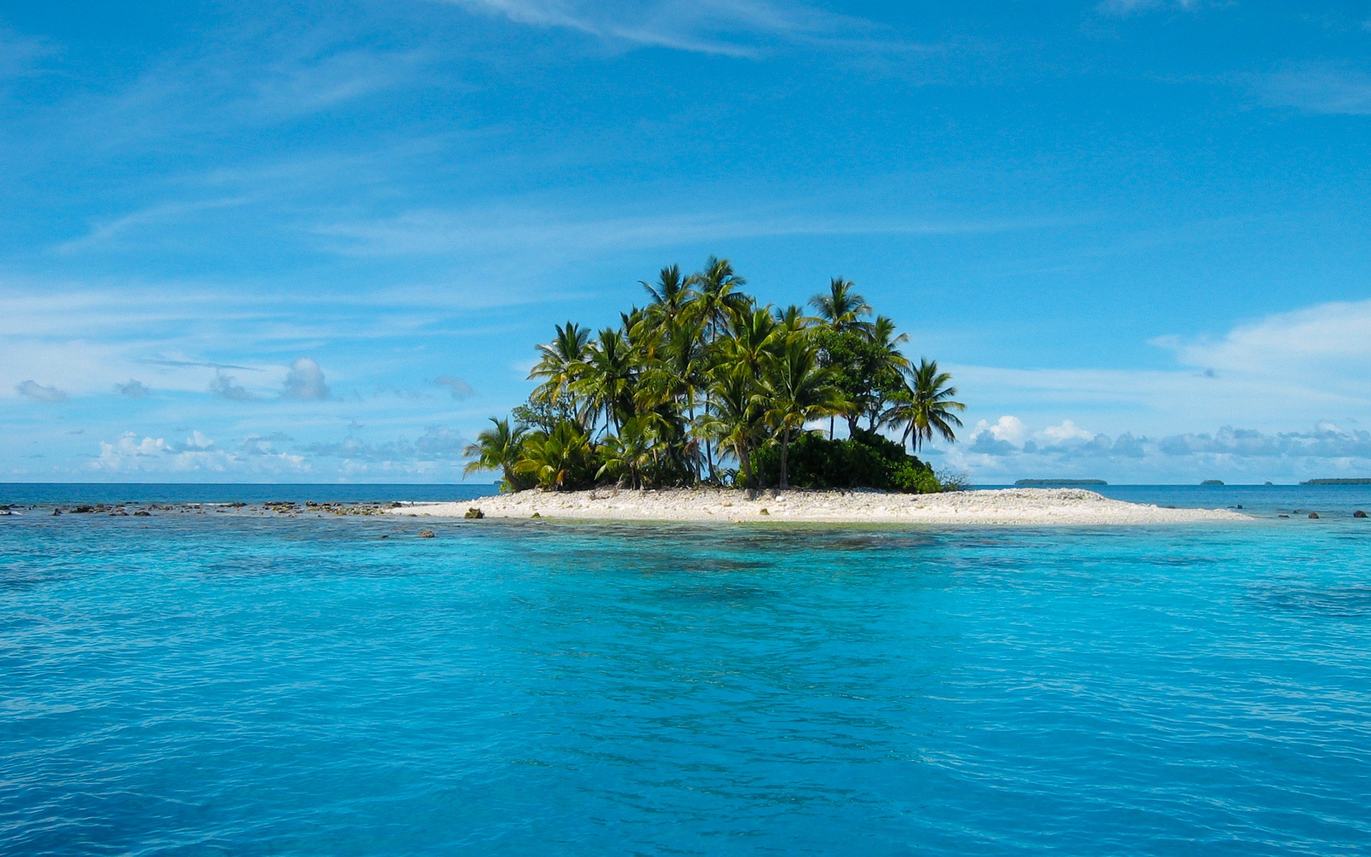 île mer palmiers tropiques