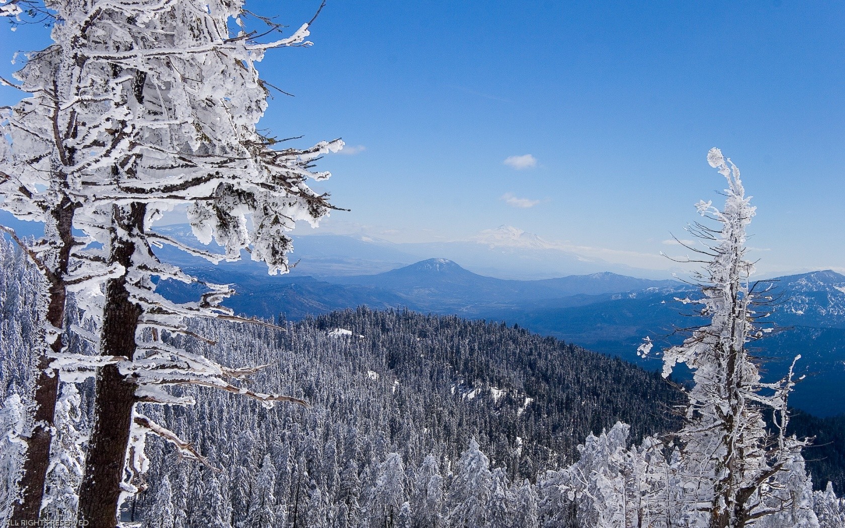 montagnes forêt hiver