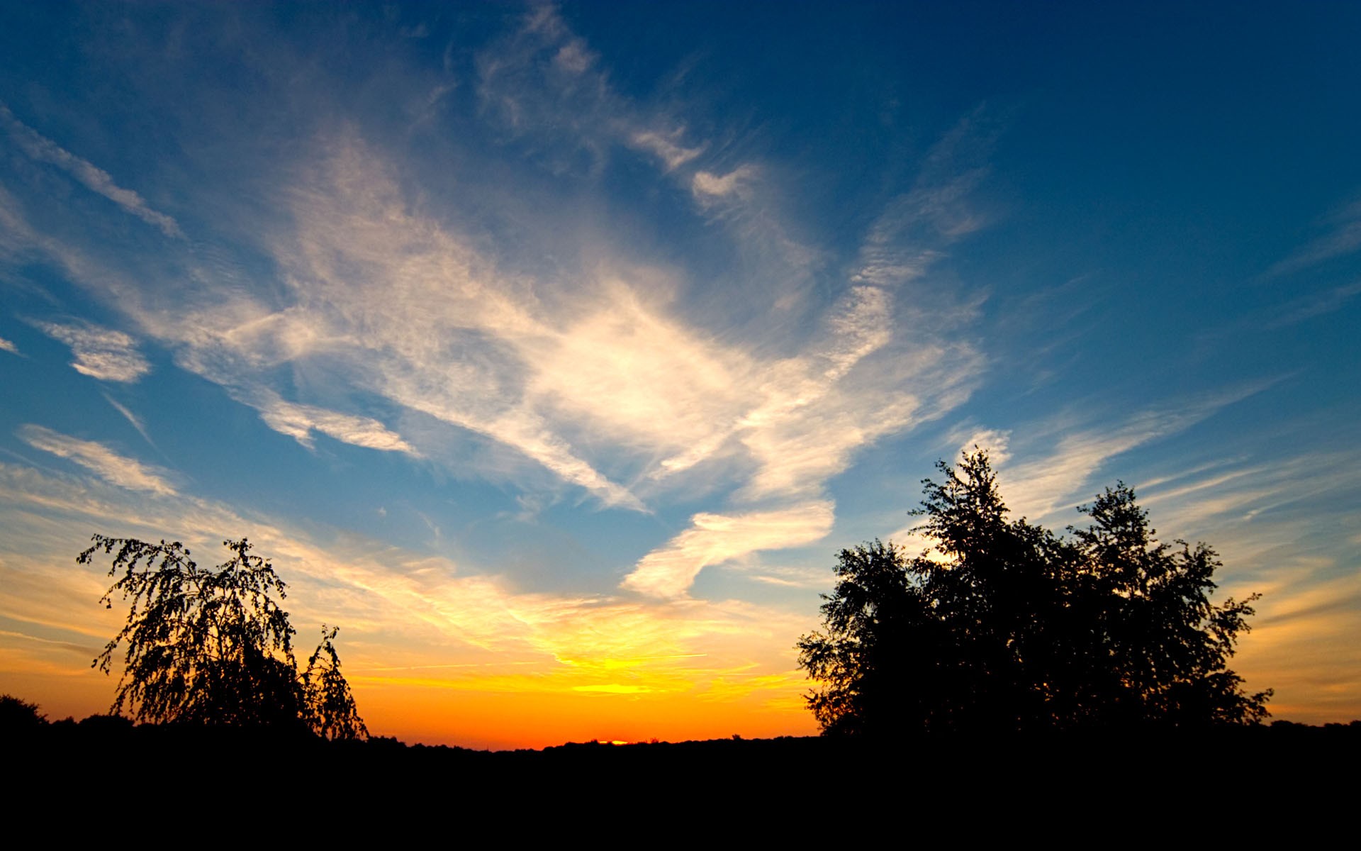 unset clouds tree