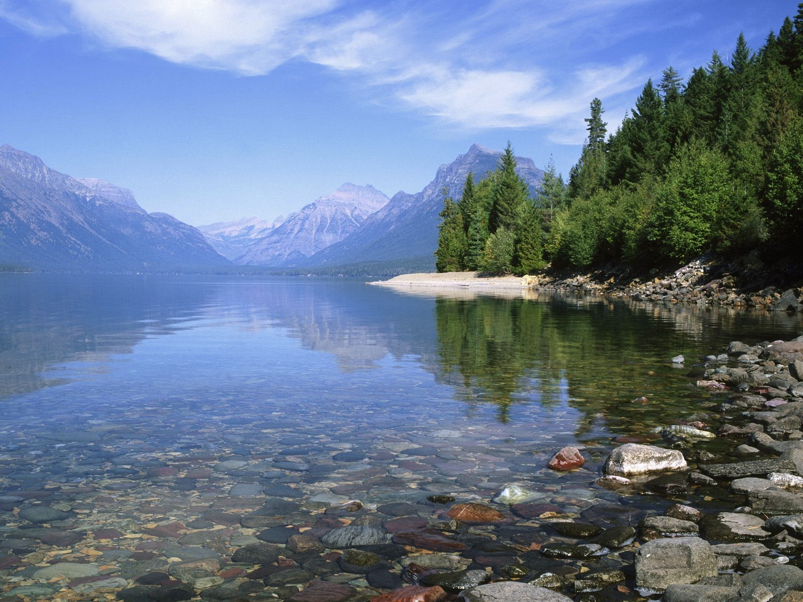 lago foresta montagne