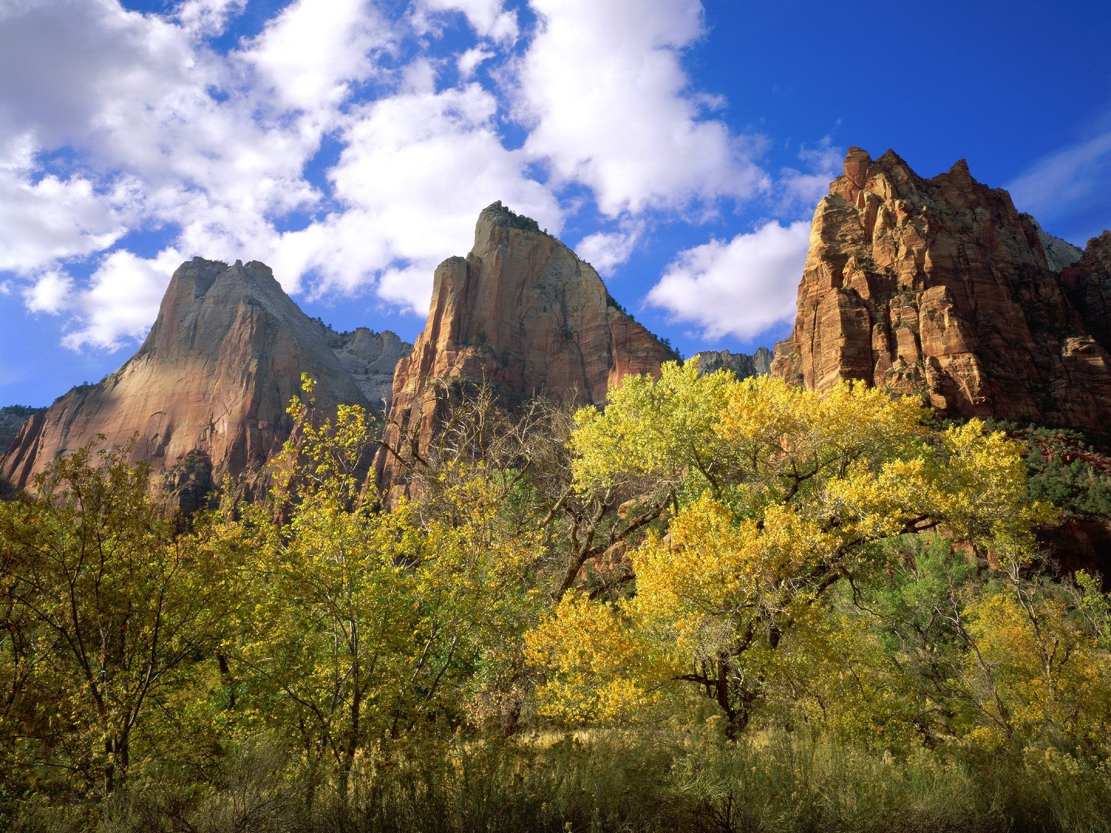 three patriarchs zion national park utah