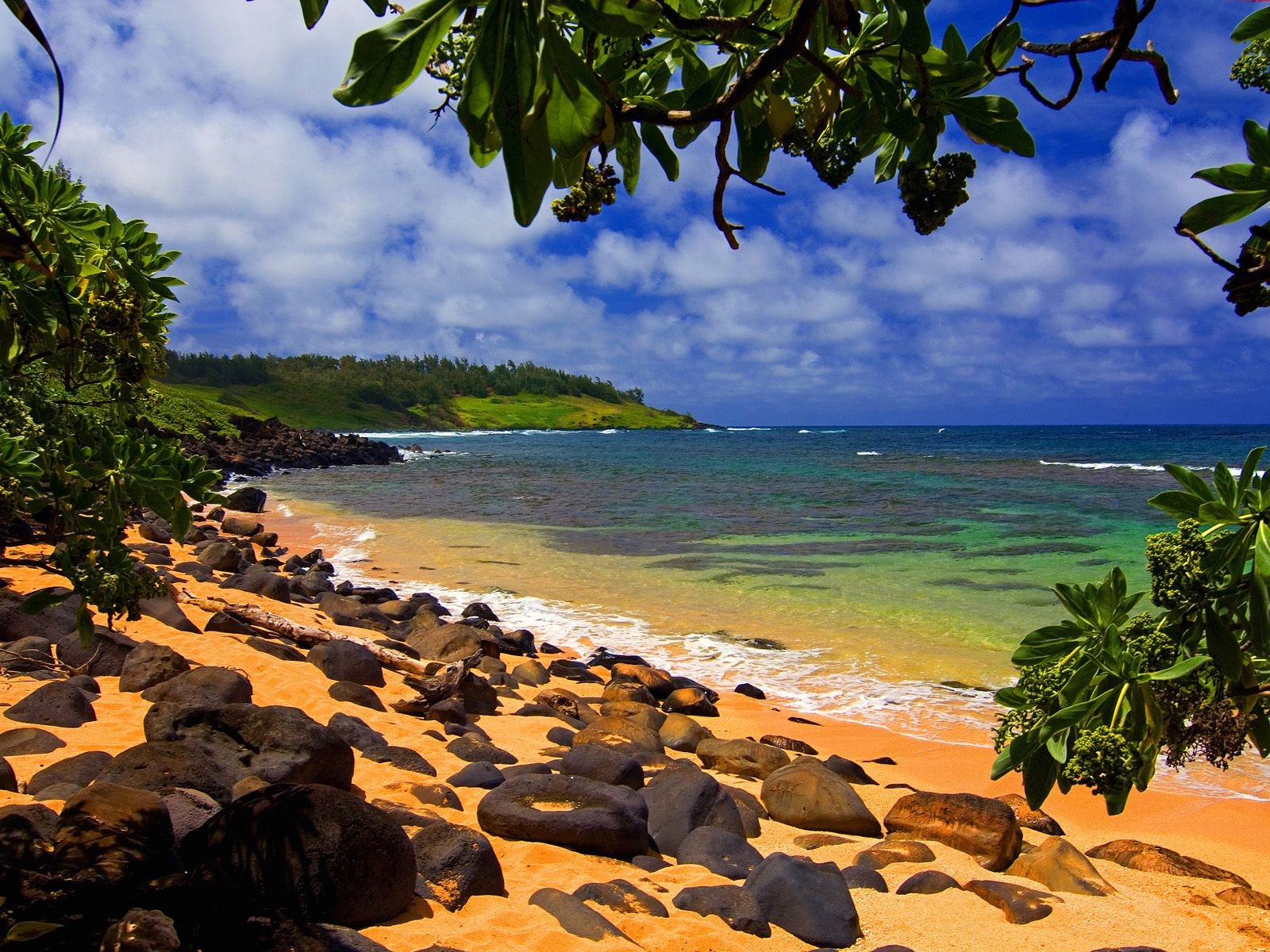 odcień plaży moloaa kauai hawaje