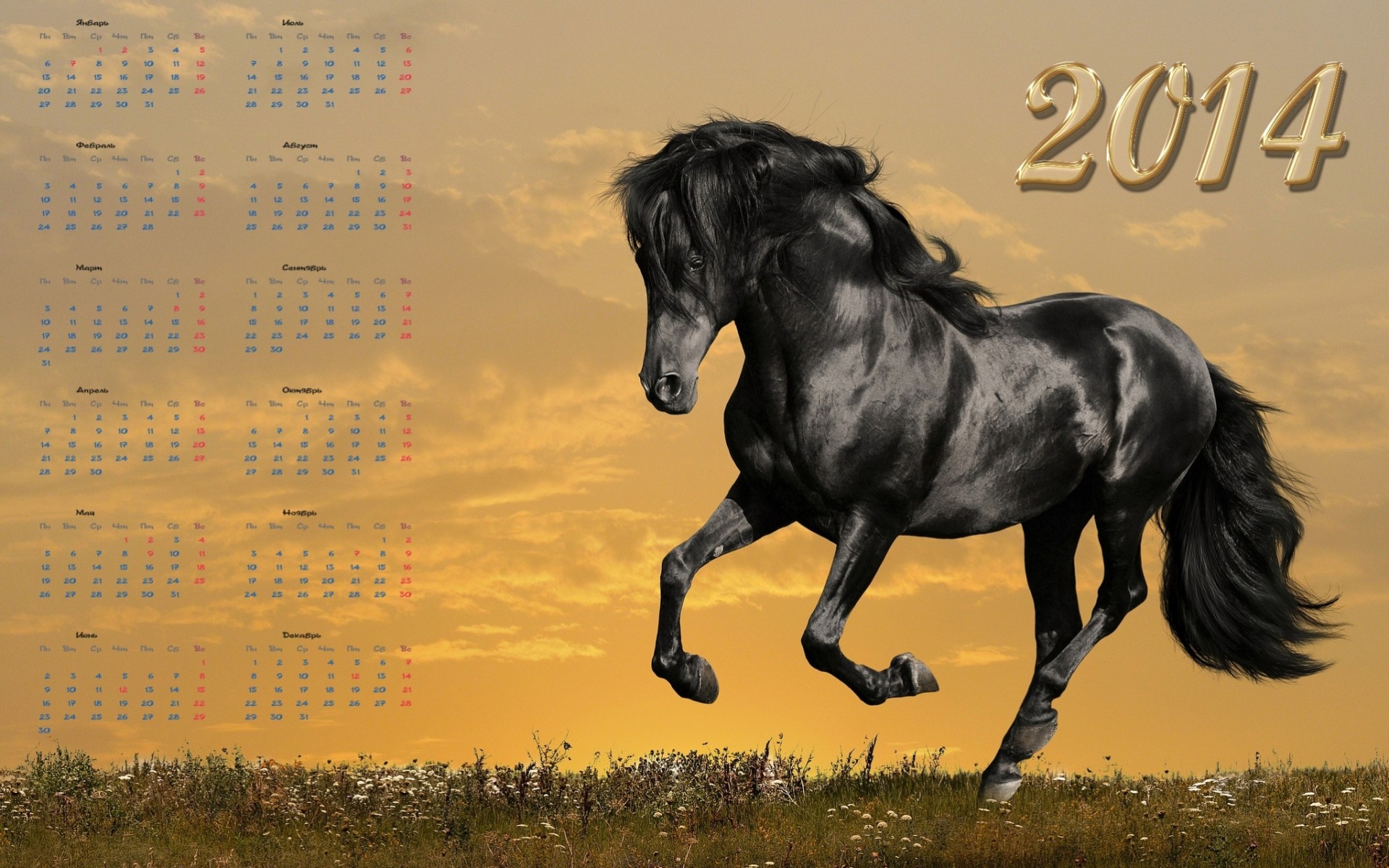 caballo 2014 calendario