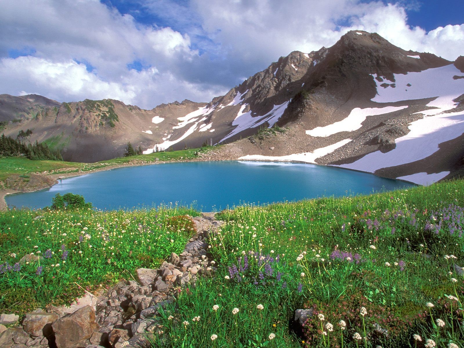 berge see blumen