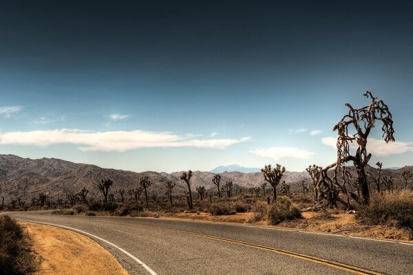 Camino caliente a las montañas del desierto