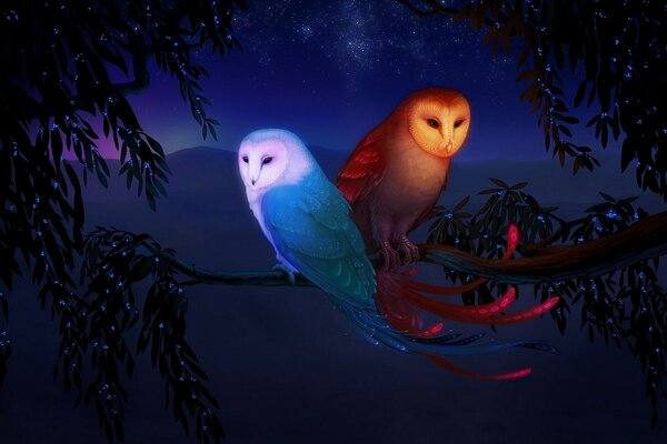Night day with colorful owls