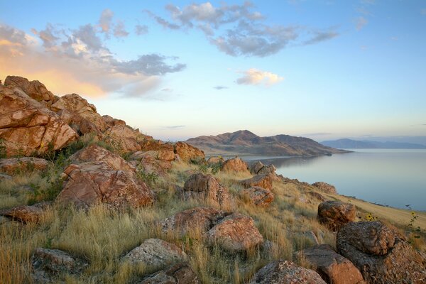 Monte de arte con hierba junto al lago