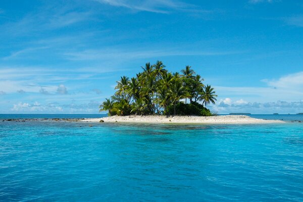 Palm trees on a desert island in the middle of the ocean