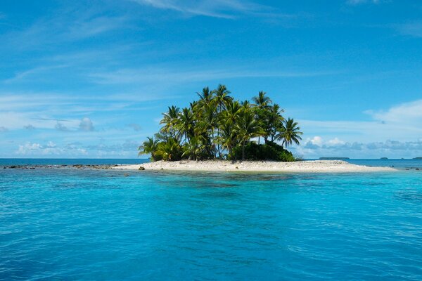 Palme su un isola deserta in mezzo all oceano