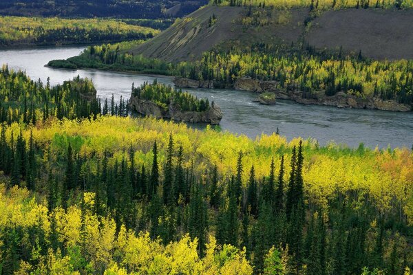 Northern taiga river in autumn