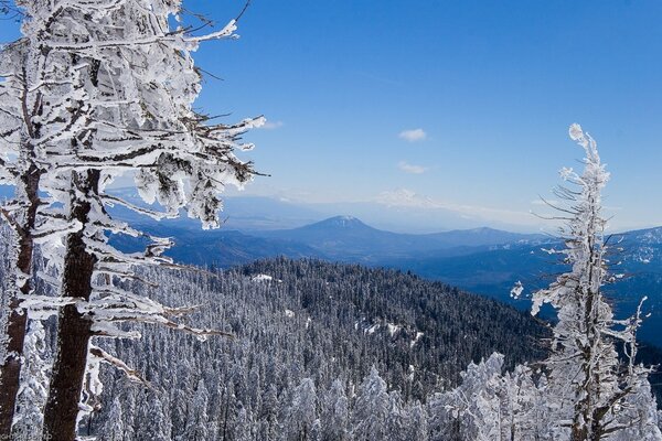 In den Bergen fiel Schnee und das Wetter war klar