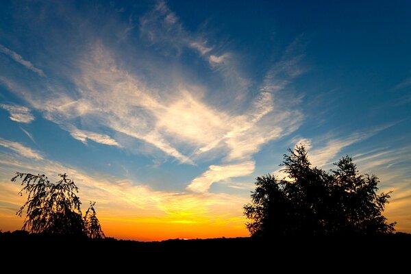 Cirrus clouds at sunset in the wilderness