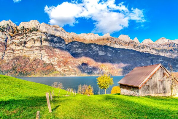 Vegetación con cabaña junto al lago, con vistas a los acantilados