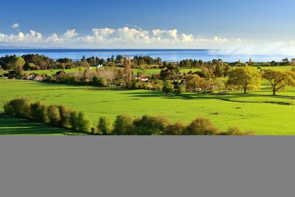 Blaues Meer mit Blick auf grünes Gras mit schönen Bäumen