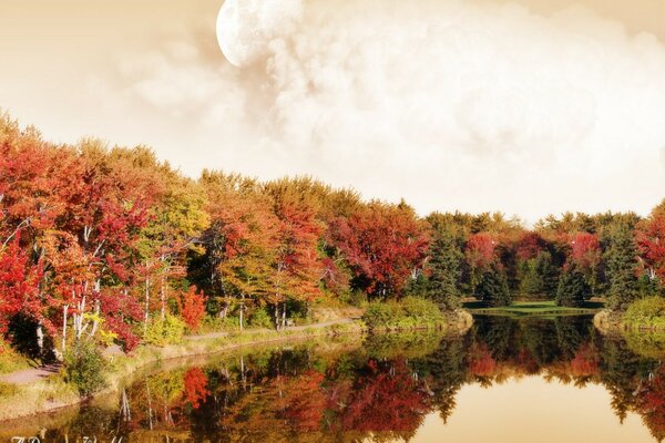 A huge moon over the lake