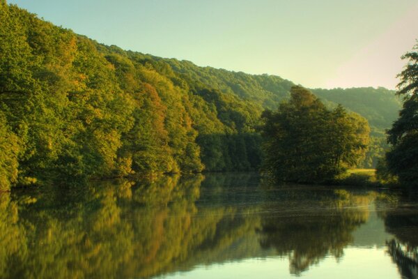 Belle nature et rivière tranquille